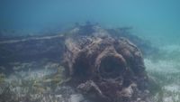 Foto: Bangkai Pesawat Pasukan Kamikaze Jepang di Papua