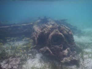 Foto: Bangkai Pesawat Pasukan Kamikaze Jepang di Papua