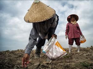 The sky isnt a limit