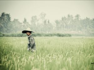 Tomorrow is another day