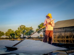 Setengah wajah petani garam