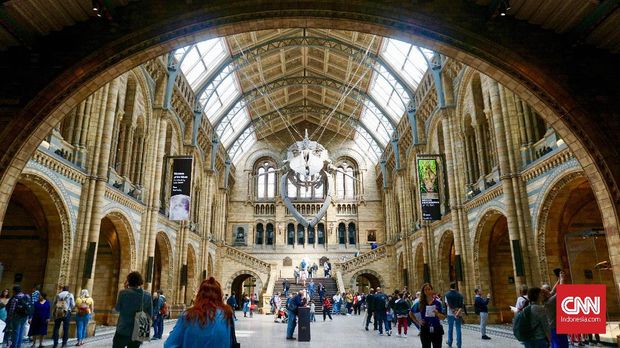 Belajar Soal Nyamuk sampai T-Rex di Natural History Museum