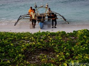 Ada Bank Satu-satunya di Miangas, Nelayan Jadi Bisa Transfer Uang
