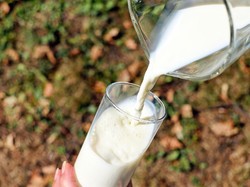 Duh! Produsen Susu Terbesar Ini Bangkrut