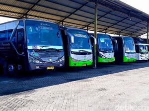 Perusahaan Beli Satu Unit Bus, Baru Balik Modal 5 Tahun Lagi Perusahaan Beli Satu Unit Bus, Baru Balik Modal 5 Tahun Lagi