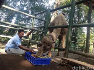 Monas! Ini Santapanmu... Monas! Ini Santapanmu...