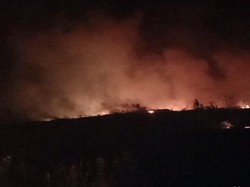 Lahan Gambut Terbakar di Bandara Kertajati Diperkirakan 20 Hektare