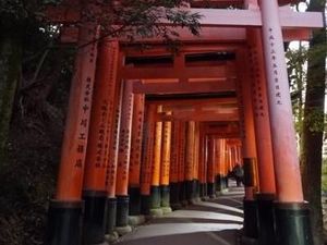 Pohon Bambu di Tempat Terindah Jepang Dicoret-coret Turis