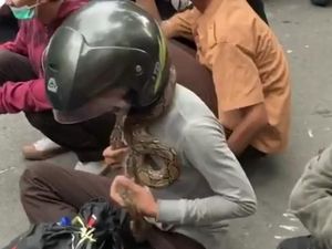 Saat Ular Diajak Pelajar Ikut Demo di Medan