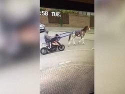 Waduh, Maling Pakai Kuda Untuk Curi Motor