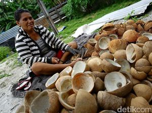 Aktivitas Petani Kopra di Pulau Miangas Aktivitas Petani Kopra di Pulau Miangas