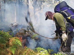 Kawasan Konservasi Gunung Arjuno Kembali Terbakar