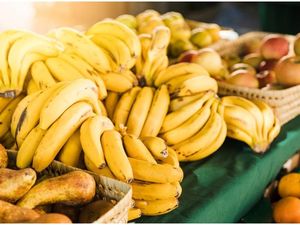 Habis Nge-Gowes, Enaknya Makan Apa Ya?