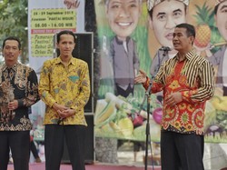 Mentan: Stok Beras Melimpah