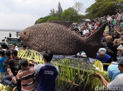 Wujud Syukur Hasil Tangkapan, Warga Madiun Larung Sesaji di Waduk Bening