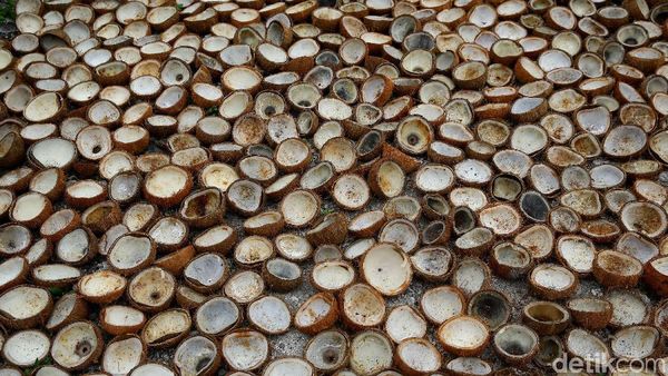 Ironi Petani Kopra di Miangas