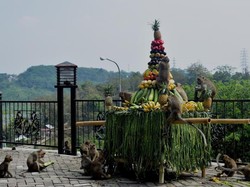 Berwisata dan Menyapa Ratusan Monyet di Goa Kreo Semarang