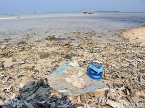 Tentang Rencana Pramono Anung Bikin Wisata Pulau Kucing di Kepulauan Seribu Tentang Rencana Pramono Anung Bikin Wisata Pulau Kucing di Kepulauan Seribu