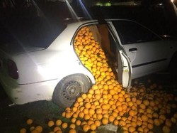 Beda Negara hingga Pakai Mobil, Aksi Pencurian Buah Ini Bikin Heran