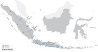 19 Tahun Biznet Dukung Ekonomi Kreatif di Indonesia
