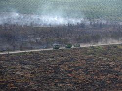 Status Darurat Pencemaran Udara di Riau Resmi Dicabut