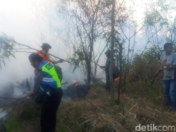 Hutan Perhutani di Kawasan Gunung Arjuno-Welirang Terbakar
