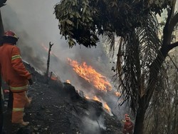 Gara-gara Bakar Sampah, 5 Rumah di Bogor Hangus Terbakar