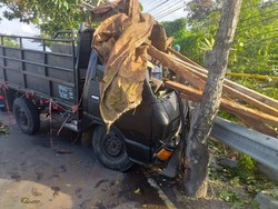 Truk Bermuatan Penyu Kecelakaan di Legian Bali, Sopir Diburu Polisi