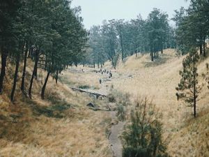 Cegah Corona, Jalur Pendakian Gunung Lawu Ditutup