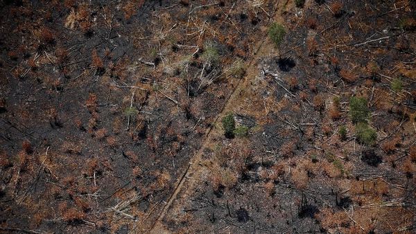 Penampakan dari Udara Sisa Kebakaran Hutan di Kalimantan