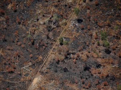 Penampakan dari Udara Sisa Kebakaran Hutan di Kalimantan