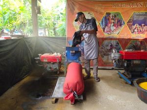 Rintis Olahan Kunyit, Mantan Petani Ganja: Hidup Lebih Nyaman