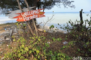 Pulau Tidung Kecil: Surga Kucing, Magnet Wisata Baru!