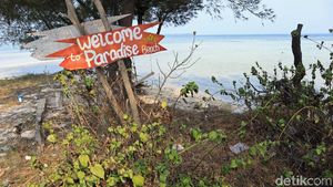 Tidung Kecil Diincar Jadi Destinasi Wisata Kucing