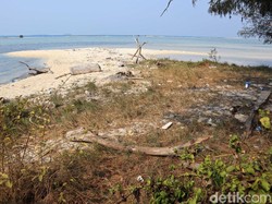 Gubernur DKI Mau Buat Wisata Pulau Kucing di Kepulauan Seribu