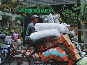 Mengangkut Belanjaan