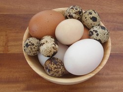 Kenali Ciri dan Karakter 5 Jenis Telur yang Paling Sering Dikonsumsi