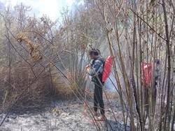 Sedih, Sudah Dua Minggu Gunung Semeru Berasap