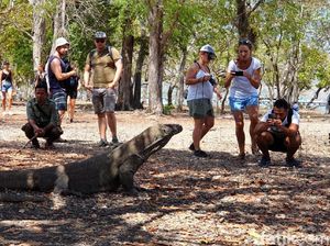 Pulau Komodo Batal Ditutup, Warga Lokal: Berita Gembira! Pulau Komodo Batal Ditutup, Warga Lokal: Berita Gembira!