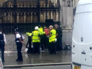 Polisi Inggris Tangkap Pria yang Akan Bakar Diri di Luar Gedung Parlemen