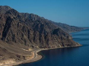 Bukan Cuma Indonesia, Arab Saudi Juga Mau Buat Jurassic Park