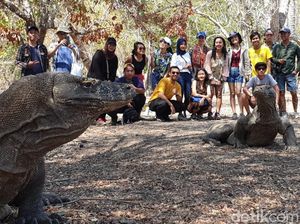 Turis Ramai-ramai Booking ke Labuan Bajo Usai Tarif Rp 3,7 Juta Dibatalkan Turis Ramai-ramai Booking ke Labuan Bajo Usai Tarif Rp 3,7 Juta Dibatalkan