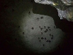 3 Gua Alam di Bogor yang Belum Banyak Orang Tahu