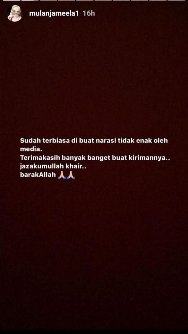 Jelang Jadi DPR, Mulan Jameela: Sudah Biasa Dapat Narasi Tak Enak dari Media