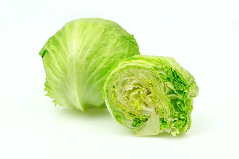 lettuce