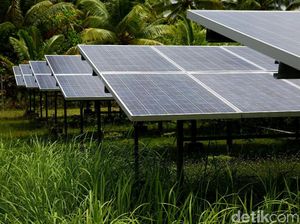 PLTS Rusak, PLN di Miangas Boros Bahan Bakar PLTS Rusak, PLN di Miangas Boros Bahan Bakar