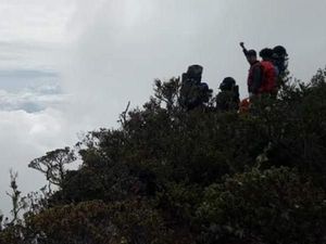 Jalan Panjang Menaklukkan Rantemario, Gunung Tertinggi di Sulawesi