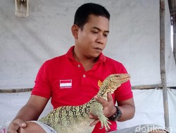 Cerita Warga Sidoarjo Raup Untung dari Hobi Pelihara Reptil