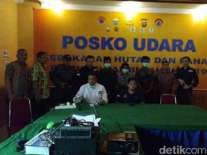 Satgas Karhutla Tangkap 3 Pembalak Liar di Jambi, 350 Kubik Kayu Disita