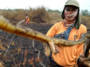 Ya Ampun, Ada lagi Ular Berkaki di Riau Ya Ampun, Ada lagi Ular Berkaki di Riau